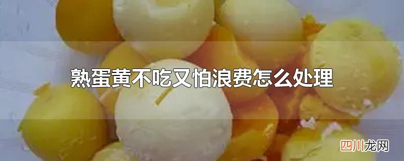 熟蛋黄不吃又怕浪费怎么处理