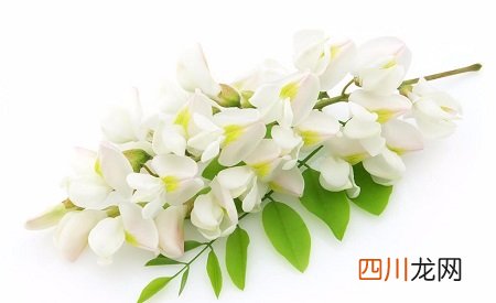 这两个小妙招科学且有效，菊花舒服多了 痔疮外痔肉球怎么消除
