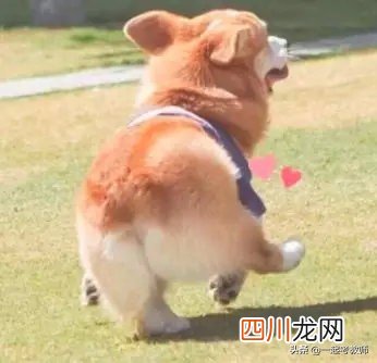 教资认定普通话要求全公开！不合格不能拿证！ 普通话证报考条件