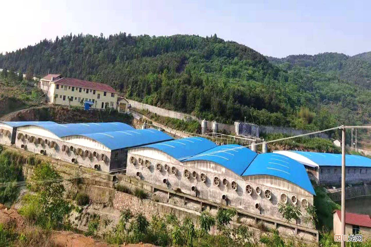厂房建设，该选PVC防腐瓦还是彩钢瓦？  彩钢瓦防腐涂料