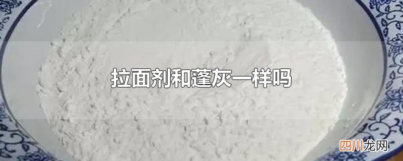 拉面剂和蓬灰一样吗