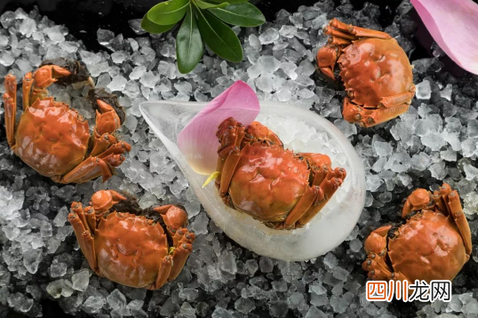 蟹卡自提好还是网络提好