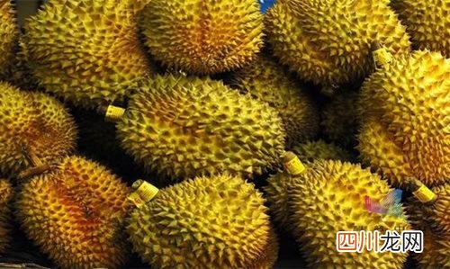 闻着臭吃着香 榴莲的功效与作用禁忌