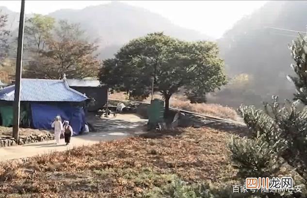 《亲爱的不要跨过那条江》不用过多的言语，这就是长情的告白