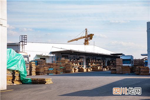 快递具体什么时候停运？2022年一月份几号停快递？恢复时间是什么时候？附官方最新通知