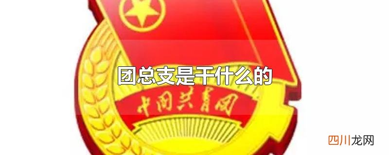 团总支是干什么的