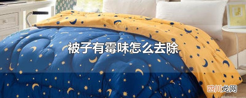 被子有霉味怎么去除
