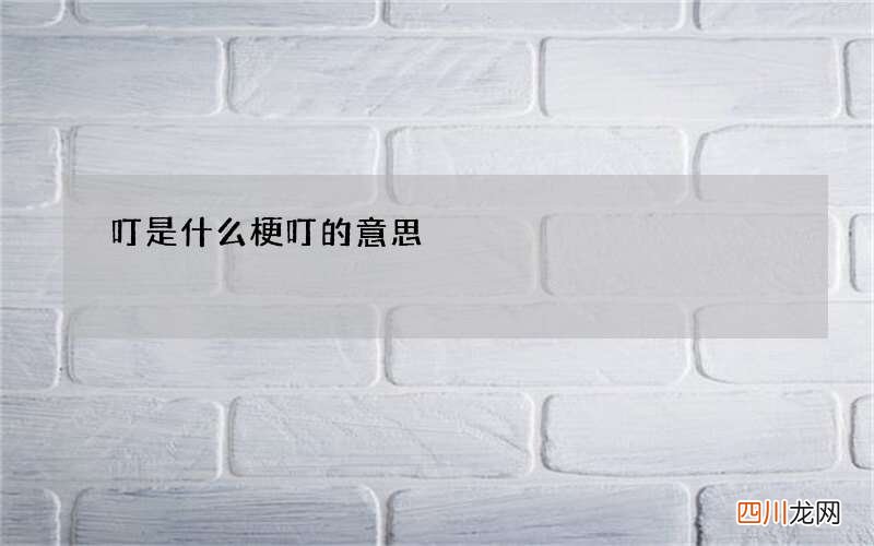 叮是什么梗 叮的意思
