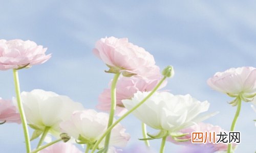 鼓励孩子加油的暖心话 激励孩子上进的句子