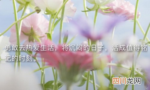 鼓励孩子加油的暖心话 激励孩子上进的句子