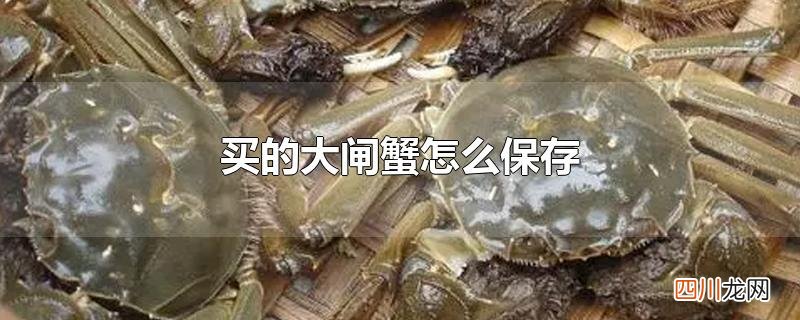 买的大闸蟹怎么保存