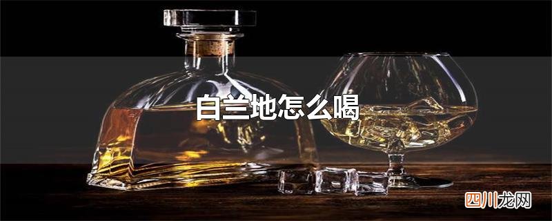 白兰地怎么喝