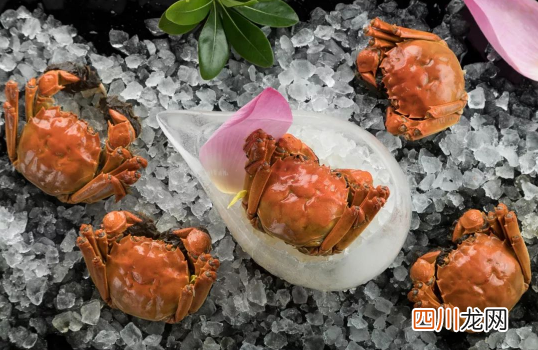 大闸蟹吐泡泡是不是口渴
