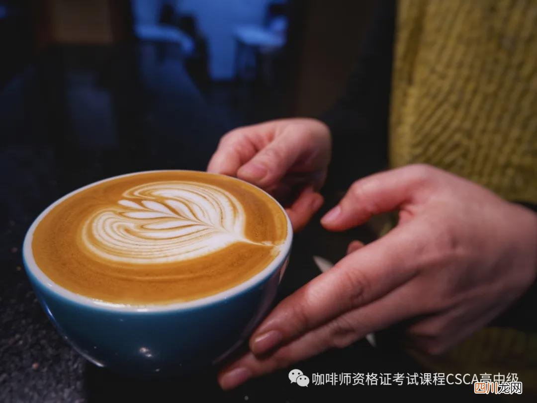 附近咖啡师培训,附近高级咖啡师培训 珠海咖啡师培训