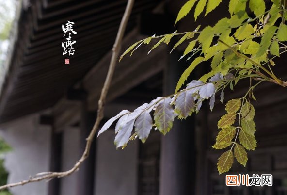 寒露节气带字壁纸图片 寒露图片
