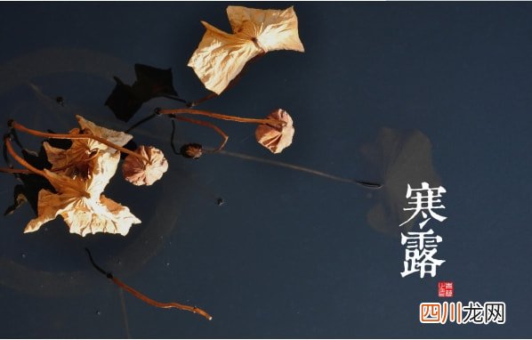 寒露节气带字壁纸图片 寒露图片