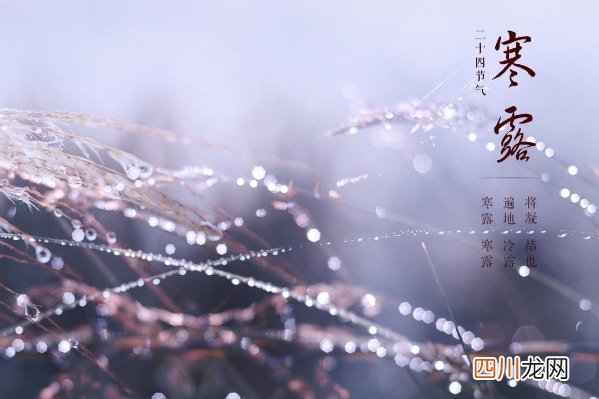 寒露节气带字壁纸图片 寒露图片