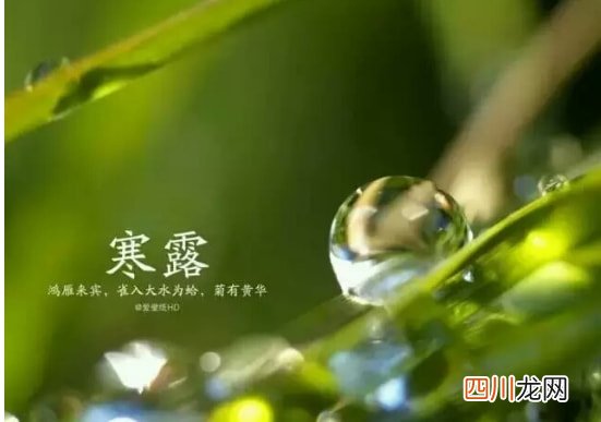 寒露节气带字壁纸图片 寒露图片