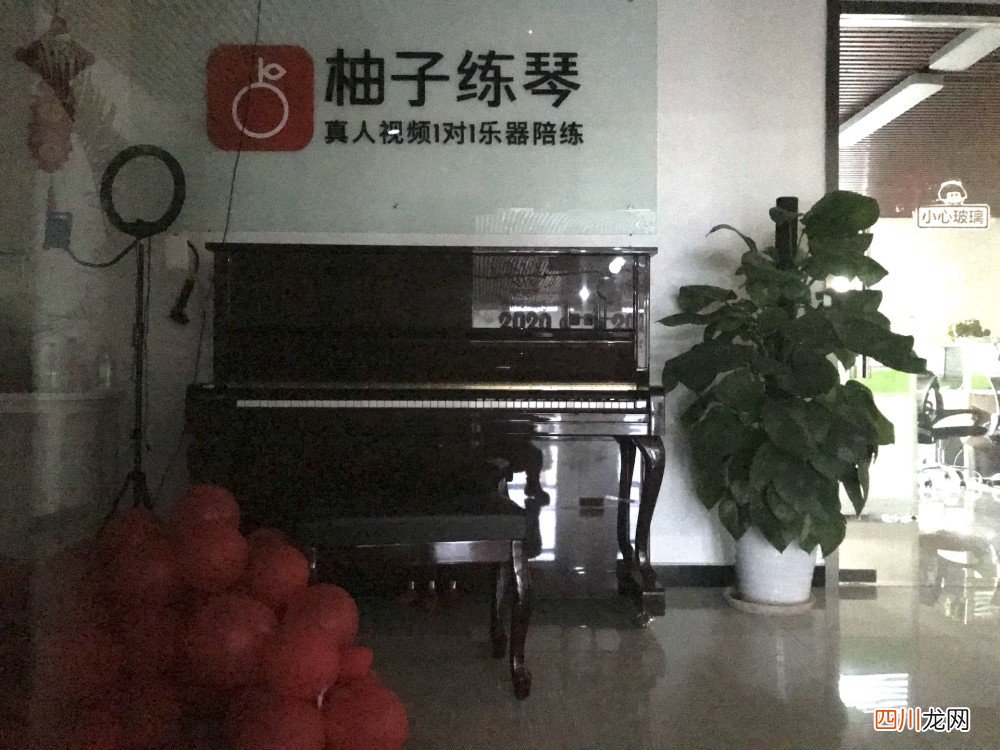 柚子练琴破产被指预谋欺诈 柚子陪练