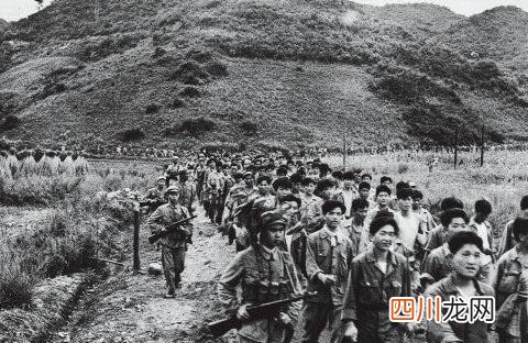 美国为何主动出谈判停战 朝鲜战争为啥美国不打了