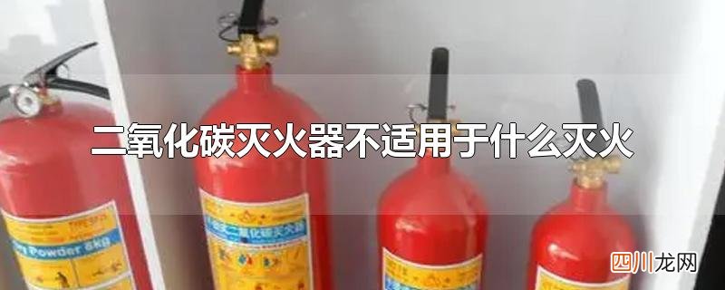二氧化碳灭火器不适用于什么灭火
