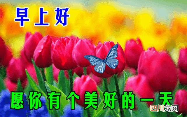 国庆节快乐图片 国庆祝福语