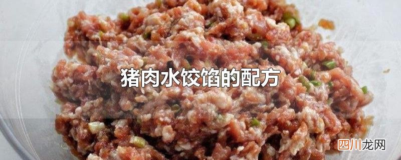 猪肉水饺馅的配方