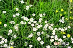 热熔标线涂料有毒吗