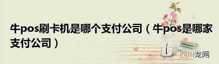牛pos是哪家支付公司 牛pos刷卡机是哪个支付公司