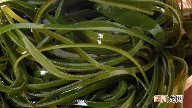 这几种食物不能和柿子一起吃 柿子不能和什么食物一起吃
