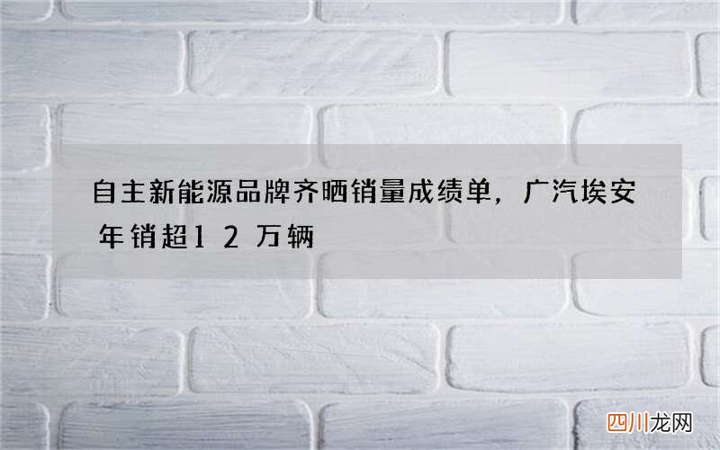 自主新能源品牌齐晒销量成绩单，广汽埃安年销超12万辆