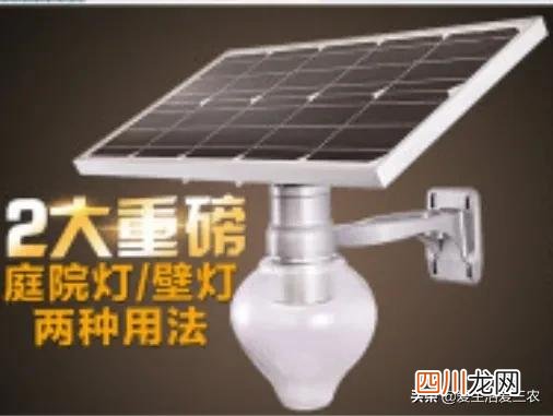 农村赚钱的6个创业项目 现在挣钱的门路有哪些