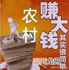 农村赚钱的6个创业项目 现在挣钱的门路有哪些