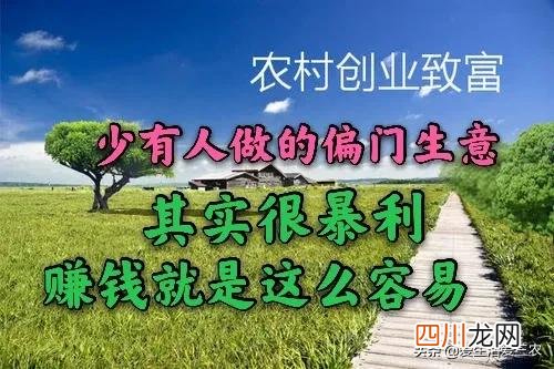 农村赚钱的6个创业项目 现在挣钱的门路有哪些