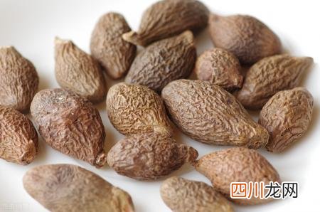 胖大海的功效及其应用 胖大海的功效与作用