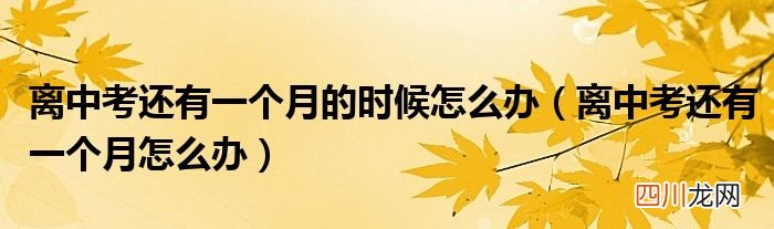 离中考还有一个月怎么办 离中考还有一个月的时候怎么办