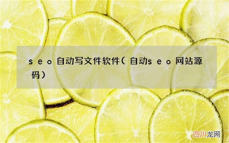 自动seo网站源码 seo自动写文件软件