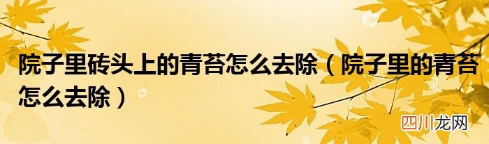 院子里的青苔怎么去除 院子里砖头上的青苔怎么去除