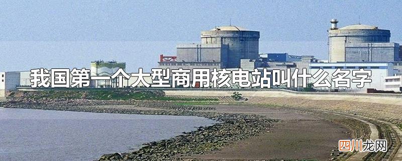 我国第一个大型商用核电站叫什么名字