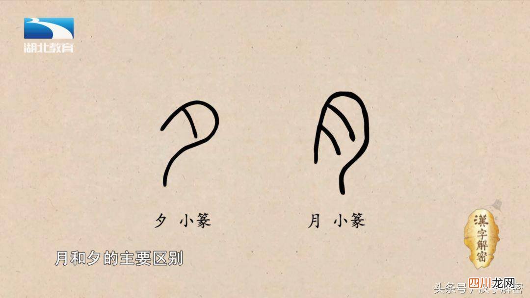 肉多是什么意思 肉是什么意思