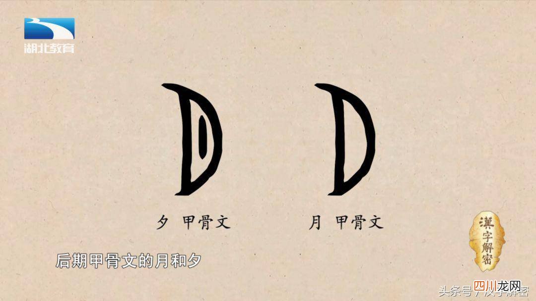 肉多是什么意思 肉是什么意思