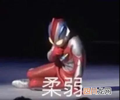 宠物托运猫腻多，记者暗访发现 友鑫宠物托运公司