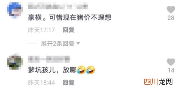 山西一女子结婚娘家陪嫁288头猪，网友：二师兄撑场面，谁敢不
