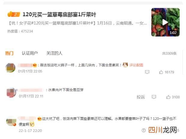 诚信何在？女子花120元买一篮草莓底部竟塞1斤菜叶