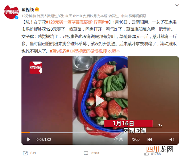 诚信何在？女子花120元买一篮草莓底部竟塞1斤菜叶