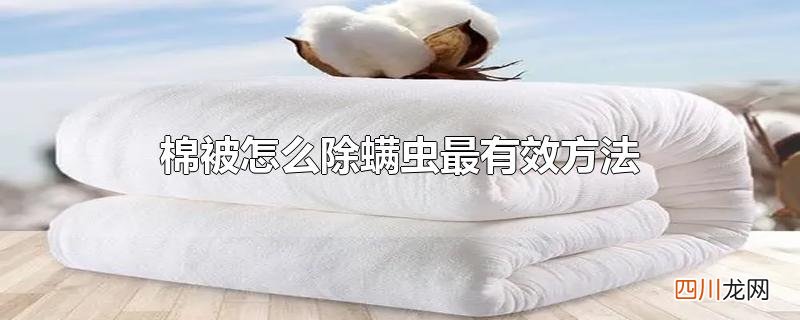 棉被怎么除螨虫最有效方法