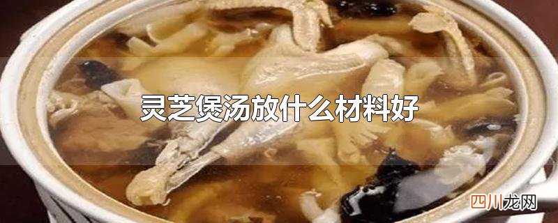 灵芝煲汤放什么材料好