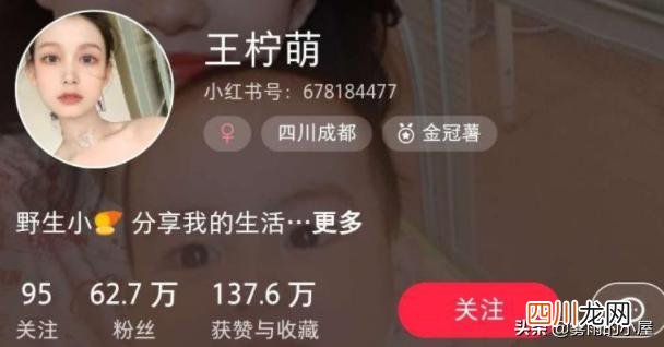 小红书怎么运营 小红书博主怎么赚钱