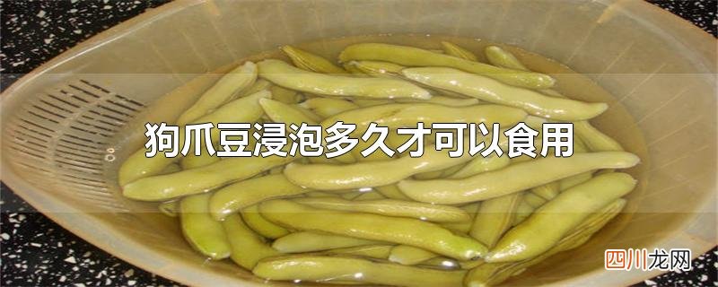 狗爪豆浸泡多久才可以食用
