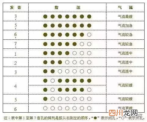 葫芦丝叉指颤音教学视频 葫芦丝虚指颤音教学视频